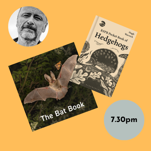 Poster with event title and book cover